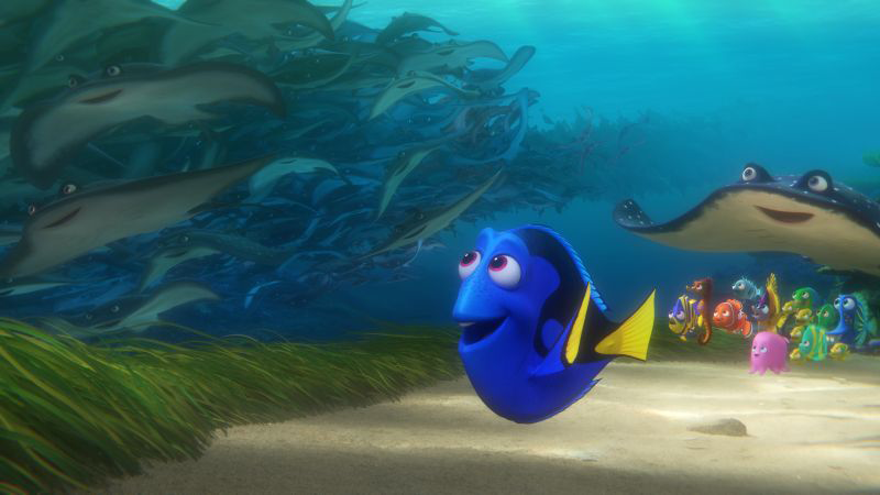 finding-dory-icon7