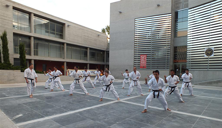 tode-martial-arts-giati-na-xekiniso-spoudes-stis-polemikes-texnes-image05